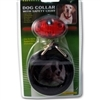 Dog Collar w/ Safety Light